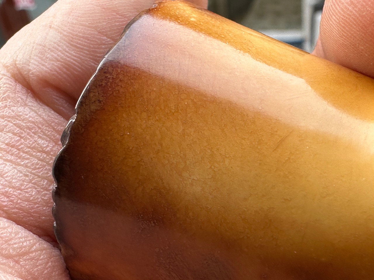 altinay-translucent-dublin-meerschaumpfeife-a-kalziniert image 8