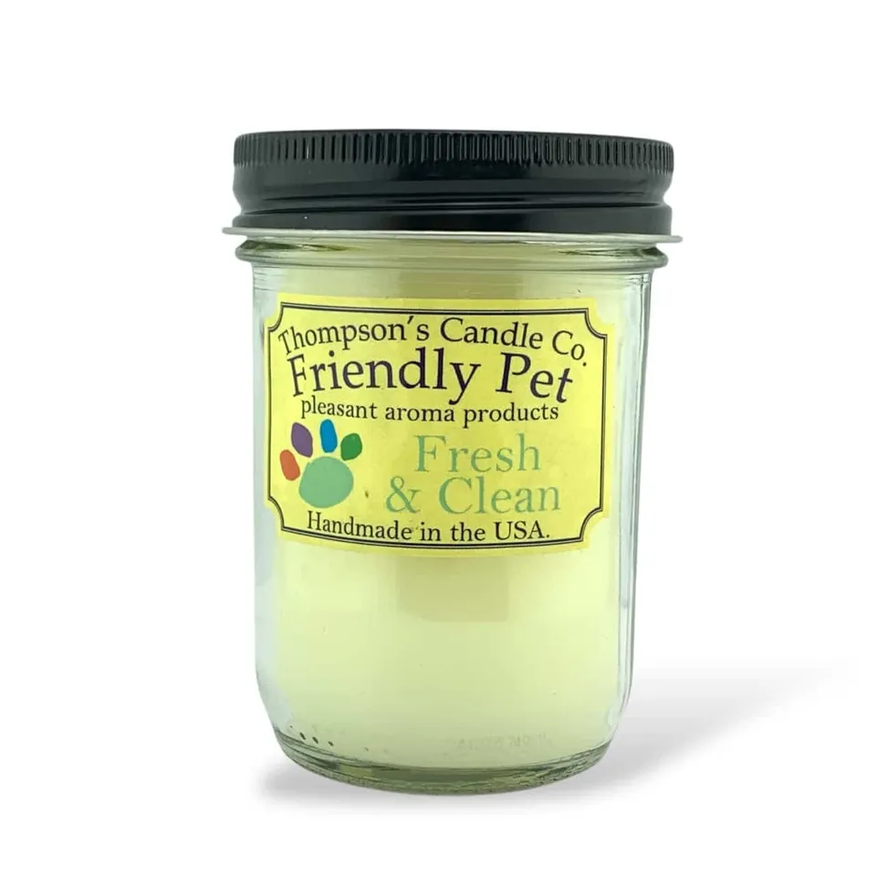thompson-s-fresh-clean-duftkerze-6oz-leinen image 1