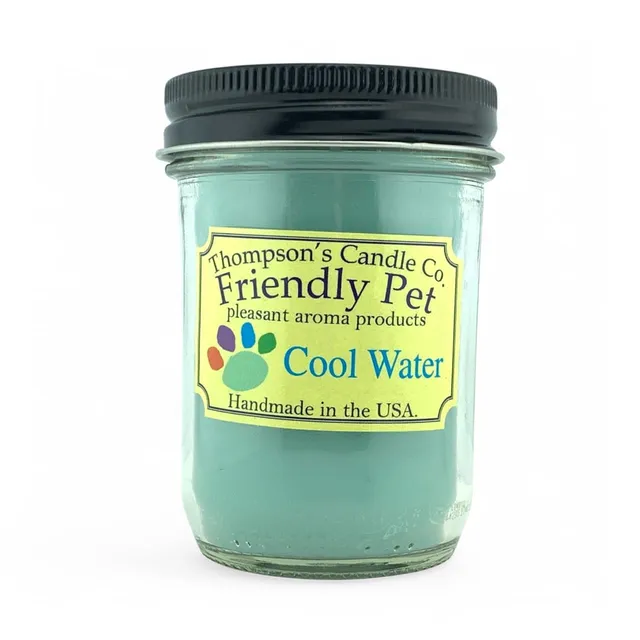 thompson-s-cool-water-duftkerze-6oz-geruchsneutralisierend image 1