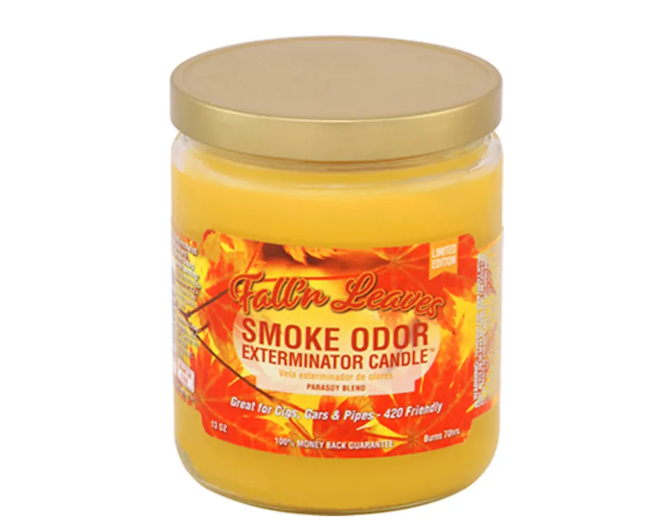 smoke-odor-exterminator-duftkerze-fall-n-leaves-368g image 1